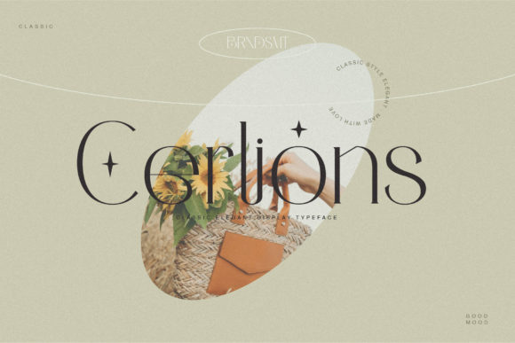 Cerlions: A Delicate Serif Font for Digital Elegance