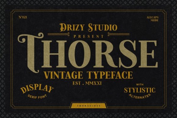 Testing the Thorse Font for Web Design Projects